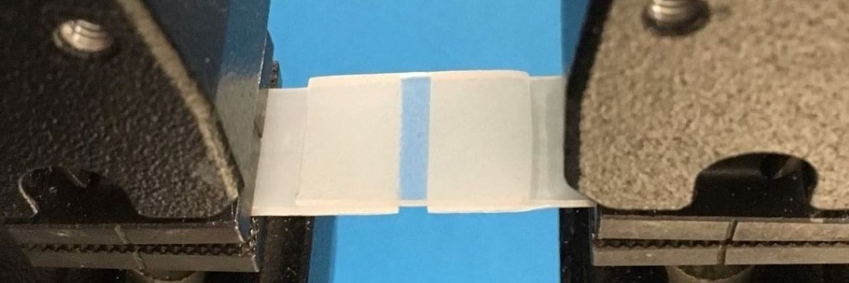 Adhesion between PE-PMMA vitrimers