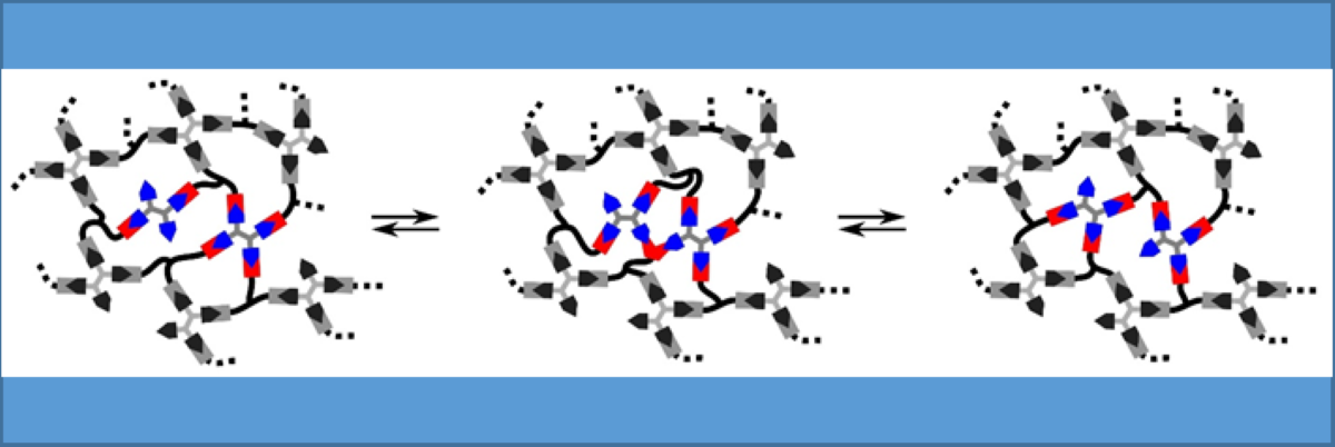 Topological rearrangement of a vitrimer network
